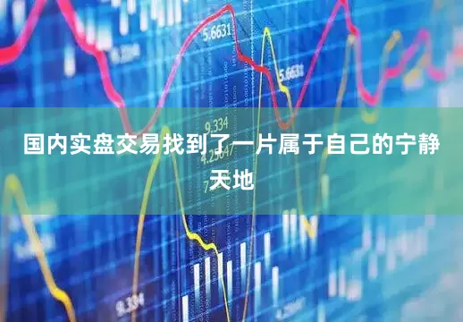 国内实盘交易找到了一片属于自己的宁静天地