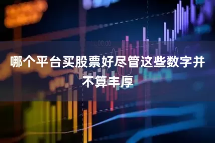 哪个平台买股票好尽管这些数字并不算丰厚