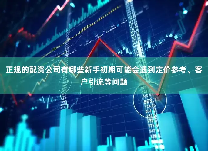 正规的配资公司有哪些新手初期可能会遇到定价参考、客户引流等问题