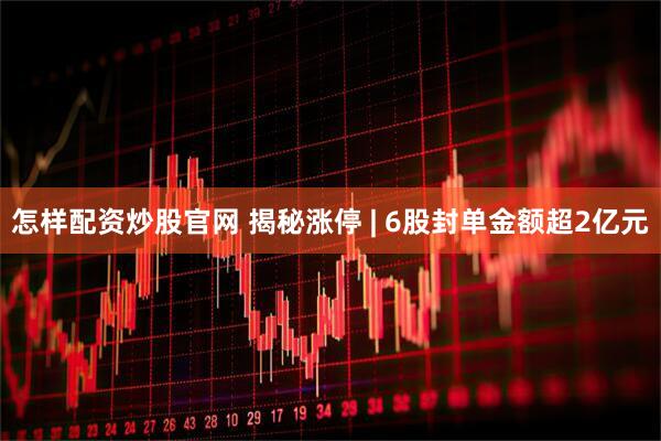 怎样配资炒股官网 揭秘涨停 | 6股封单金额超2亿元
