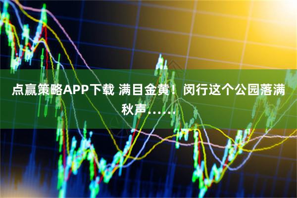 点赢策略APP下载 满目金黄！闵行这个公园落满秋声……