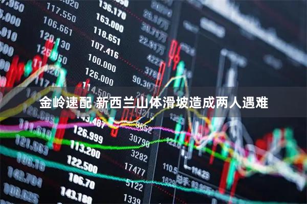 金岭速配 新西兰山体滑坡造成两人遇难